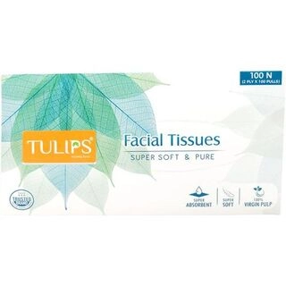 FACIAL TISSUE 100N
