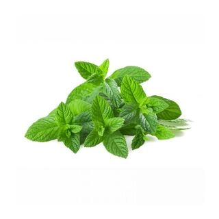 MINT (PUDINA) 100 g