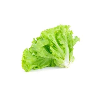 LETTUCE (SALAD PATTA) BUNCH 180 TO 200 g