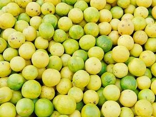 NIMBU (LEMON) 4 PC 150 - 175 g