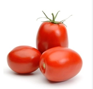 TAMATAR HYBRID 450 g