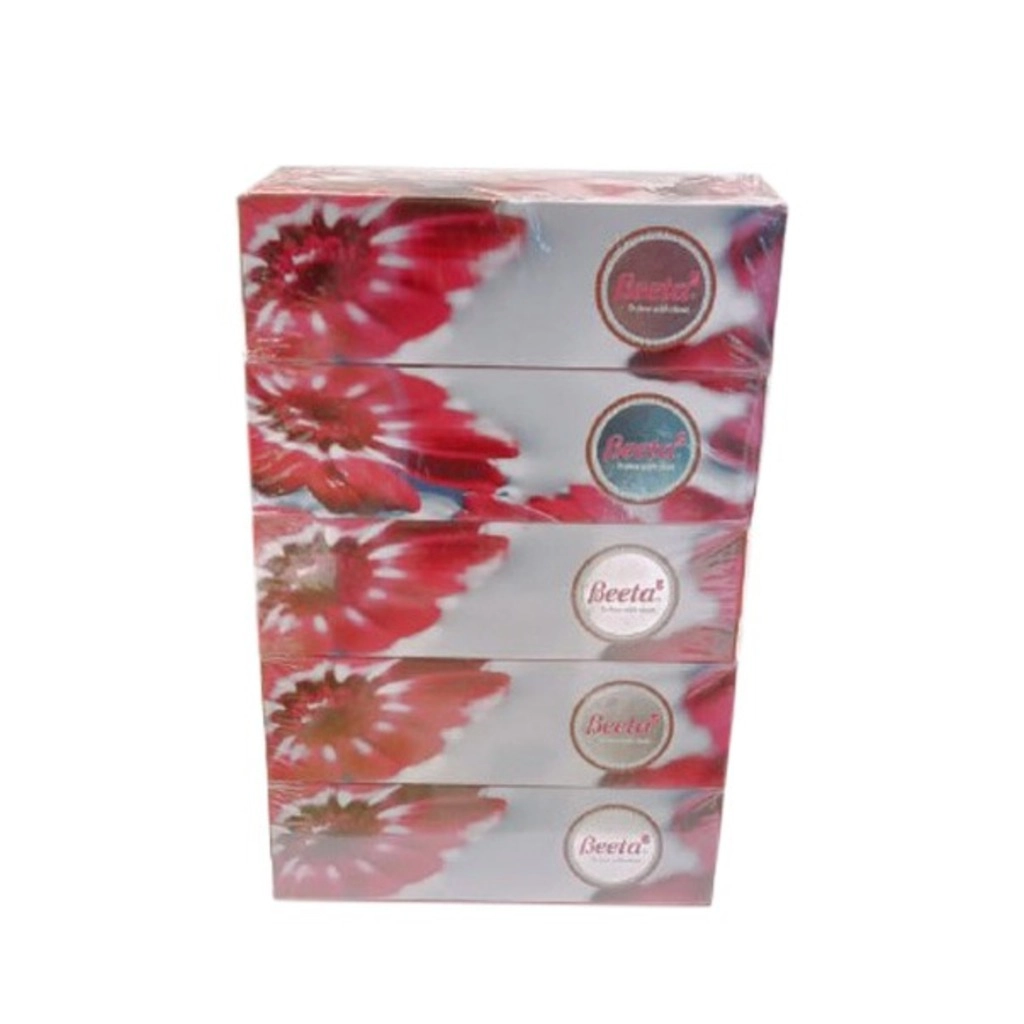 Exquisit Face Tissues Silver 2 Ply Pack of 5