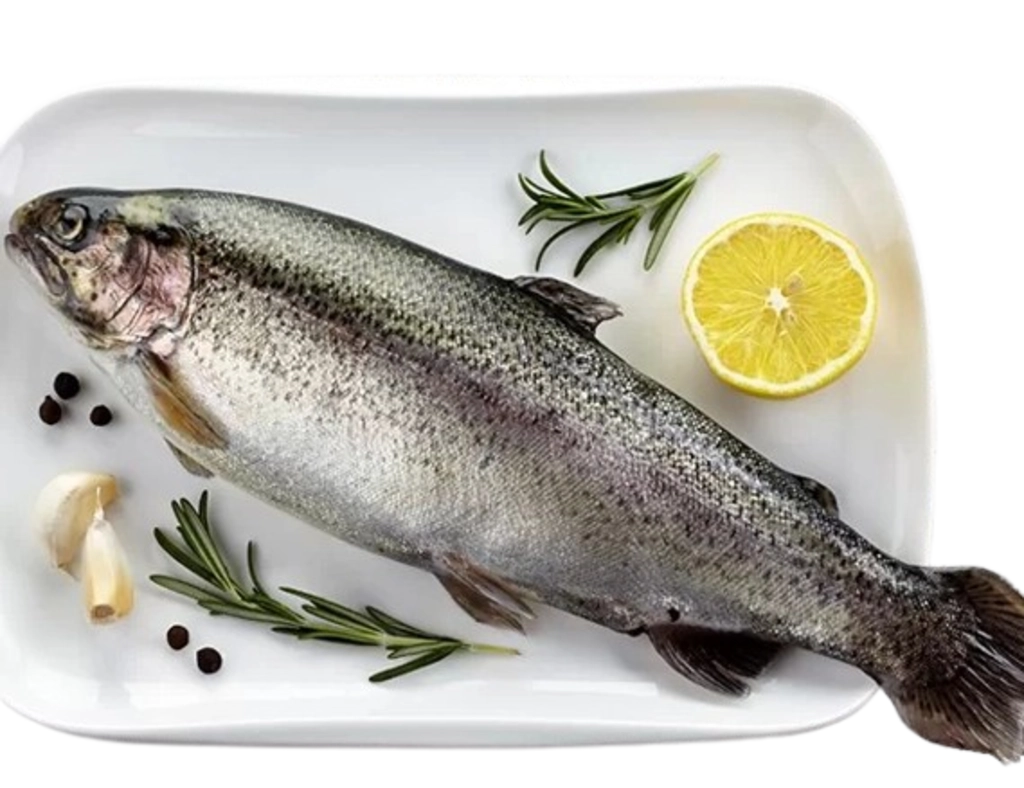 Fish Trout With Bone