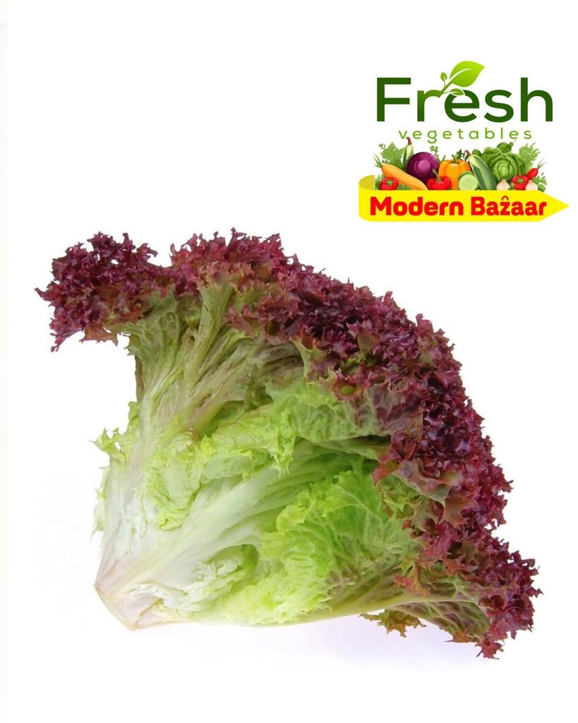 Red Lettuce Leaf