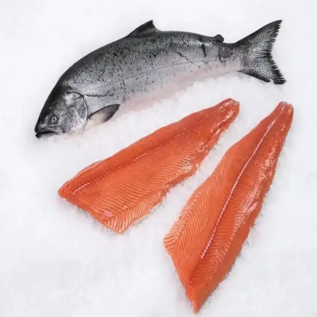 Mb Fish Salmon