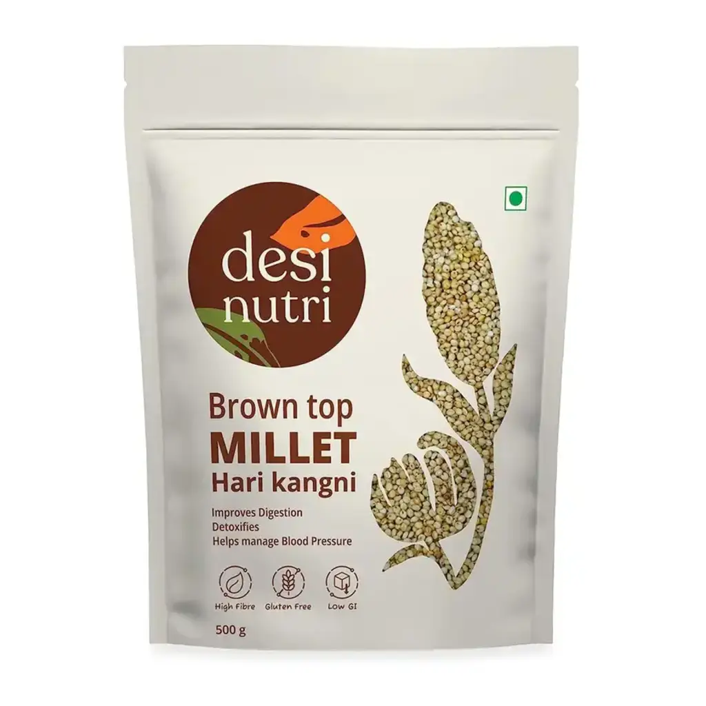 Brown Top Millet Hari Kangni