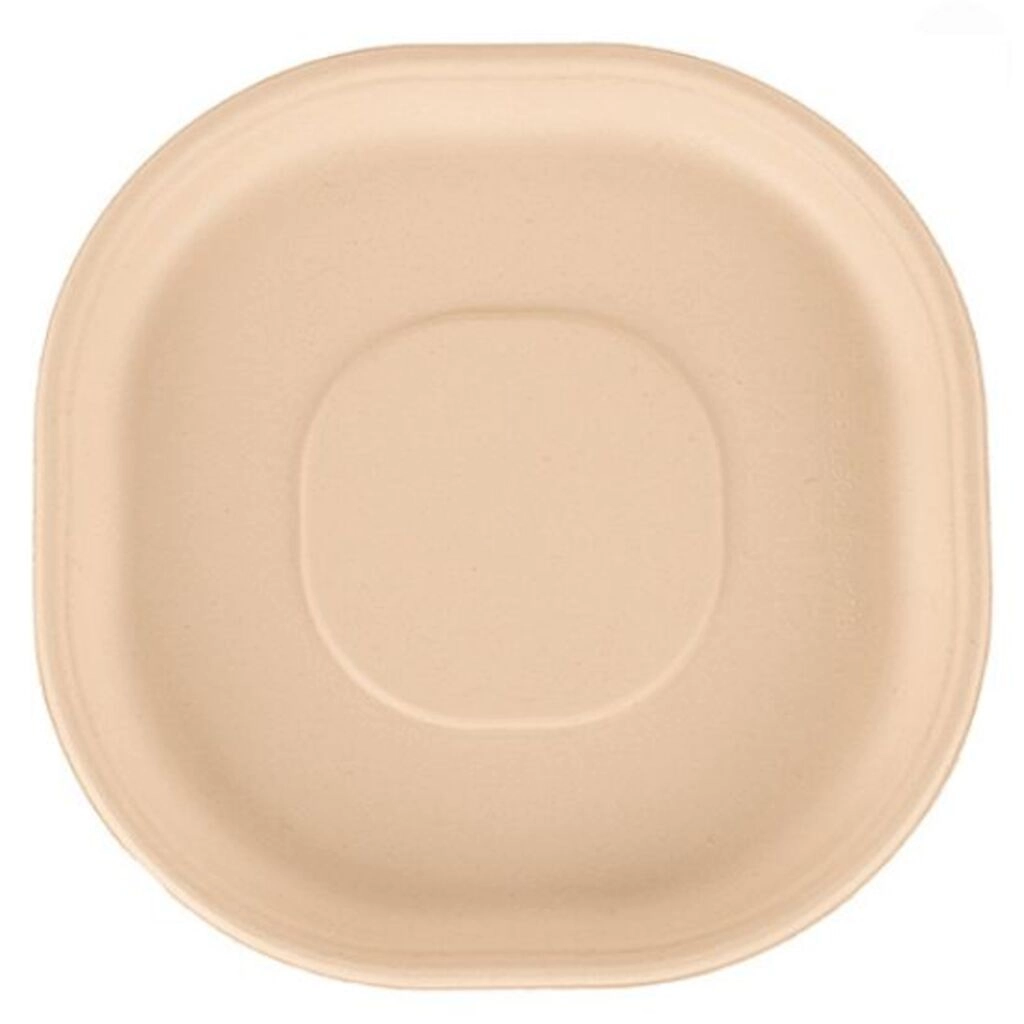 Disposable Meal Plate 12 Inch