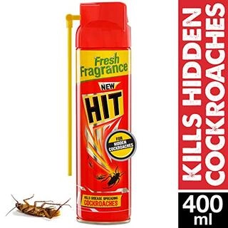 Hit For Hidden Cockroaches