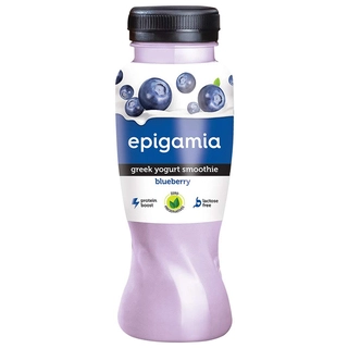 Blueberry Greek Yogurt Smoothie