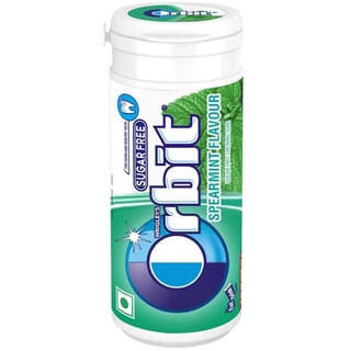 Chewing Gum Spearmint 22Gm