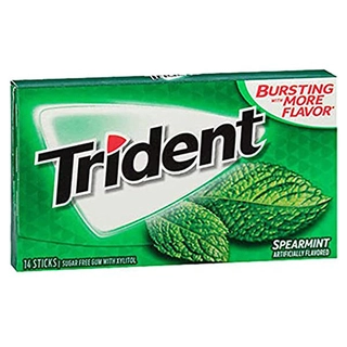 Sugar Free Spearmint Chewing Gum 14
