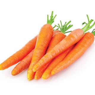 Carrot Orange