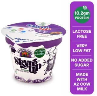 Fermented Milk Skyr Mixed Berries