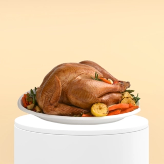 Turkey & Duck