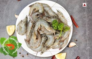 Prawns Large