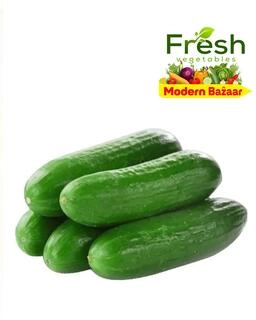 Seedless Cucumber