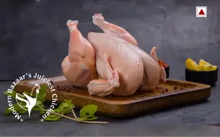 Chicken Broiler