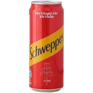 Dry Ginger Ale Can