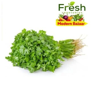 Coriander Leaf