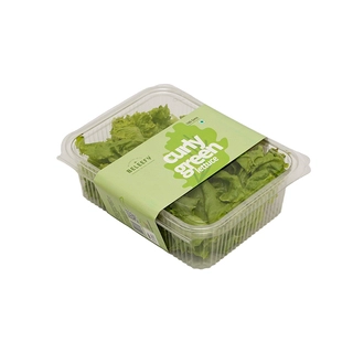 Curly Green Lettuce