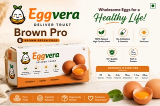 eggvera brown eggs pro 10pcs
