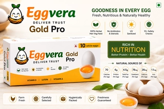 eggvera gold pro white eggs 10 pcs