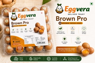 eggvera brown pro 25 pcs