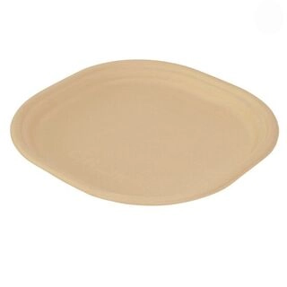 Disposable Meal Plate 9 Inch