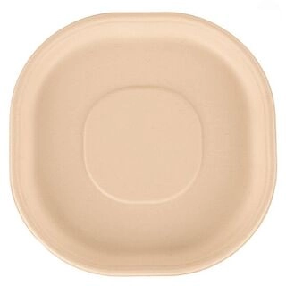 Disposable Meal Plate 12 Inch