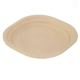 Disposable Plate 7 Inch