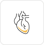 Lipid Profile Test