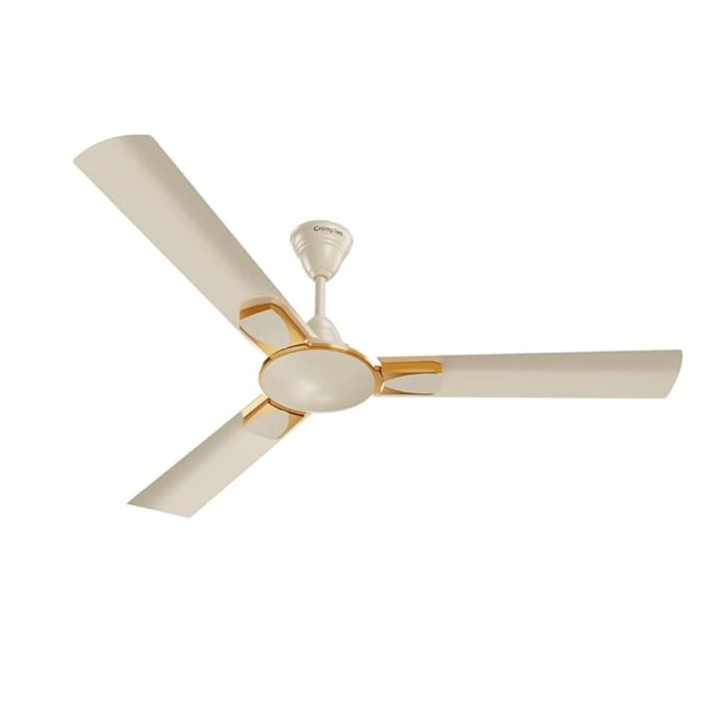 Crompton Diego (New Avatar) -