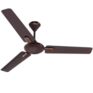 Crompton Ariya Briiz Prime 