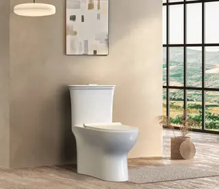 Hindware One-piece Western Commode Agnese Neo