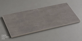 24X48 Tile  CONIFER  PENNY (MATT) Vitrified Body -Box-2pieces-