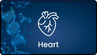 Heart Profile