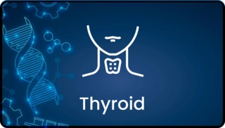 Thyroid Profile