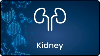Kidney profile