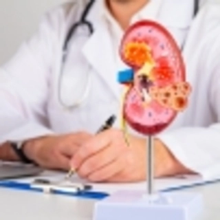 RENAL FUNCTION TESTS ( RFT )