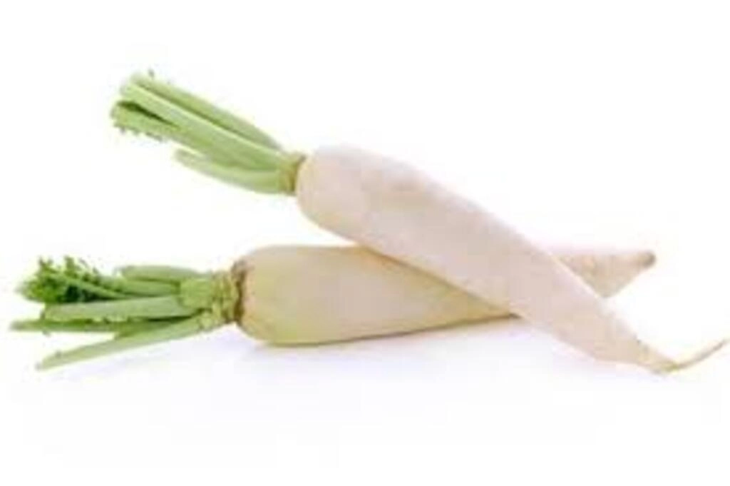 Radish (Mooli) 2 Pcs