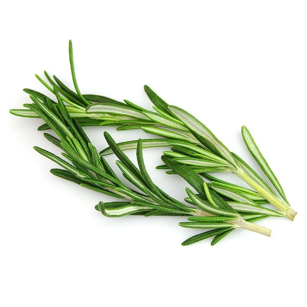 Rosemary Fresh 25g