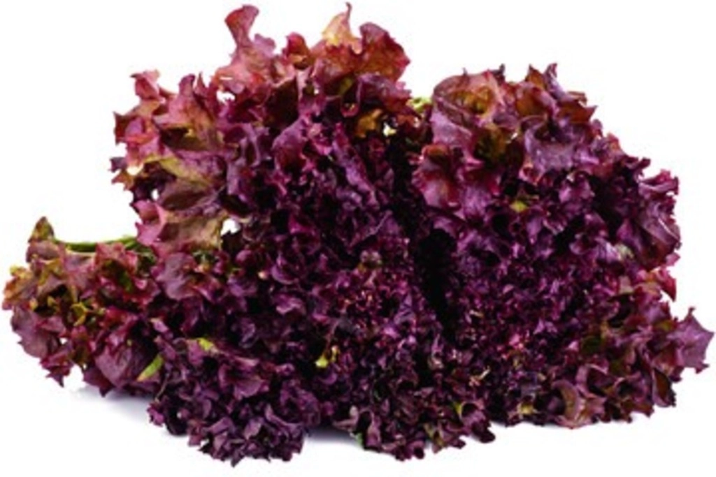 Red Lettuce 125g
