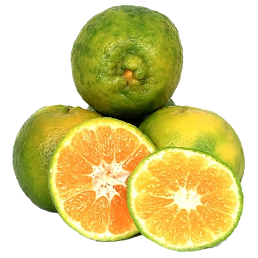 Orange Nagpur