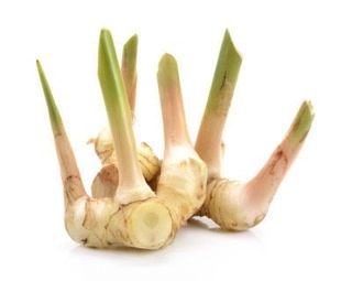 Thai Ginger (Galangal) 100g