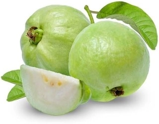 Guava