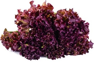 Red Lettuce 125g