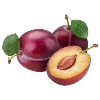 Plum Indian 4 Pcs