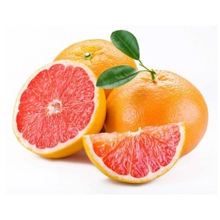 Grapefruit Imported 1 Pcs