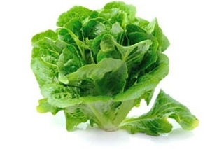 Green Lettuce 125G