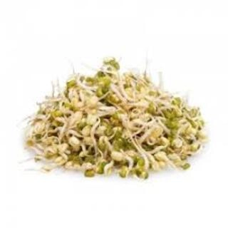 Green Gram Sprouts